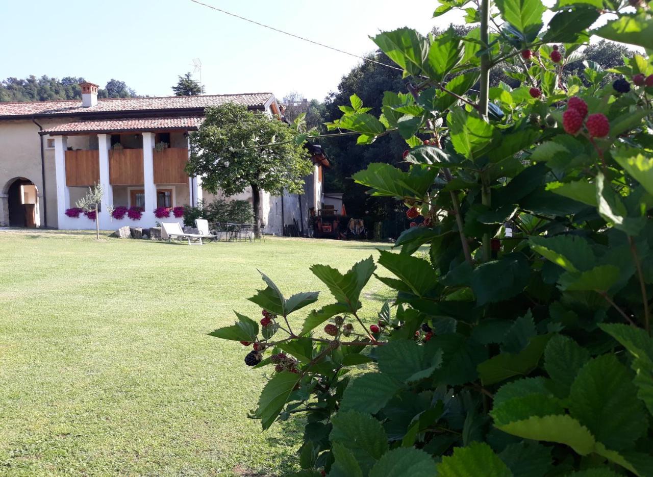 Villa Agriturismo La Scala à Salò Extérieur photo